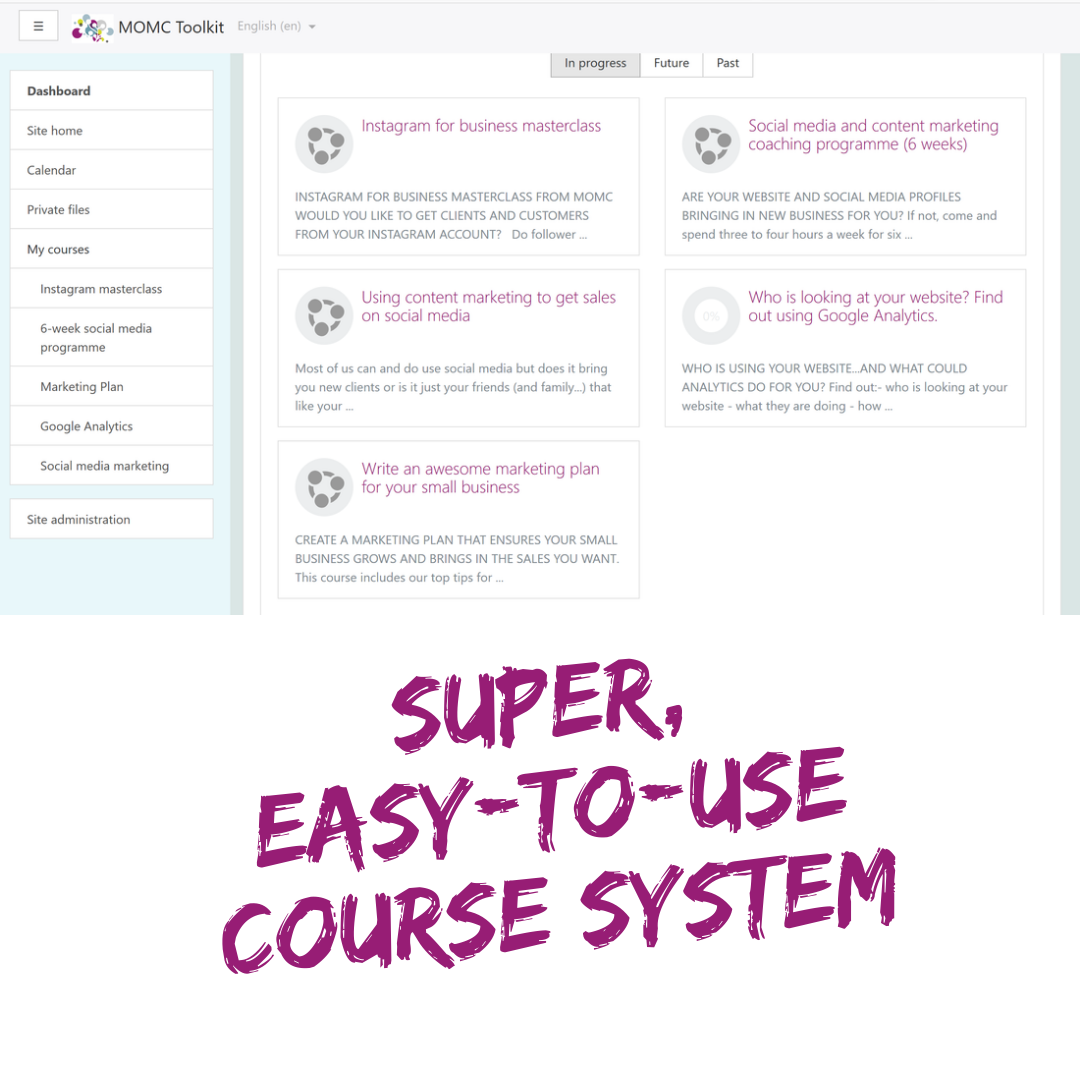 Super, easy-to-use course system - My Own Marketing Coach
